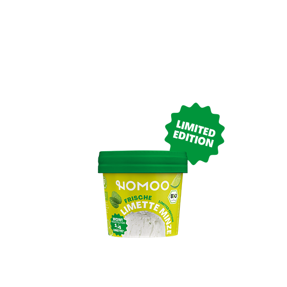 Limette-Minzeis Karton 12x 100ml